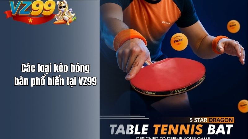 Cá cược bóng bàn VZ99 – Nơi kỹ năng, tốc độ và chiến thuật hội tụ Các loại kèo bóng bàn phổ biến tại VZ99