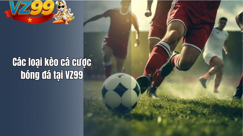 Các loại kèo cá cược bóng đá tại VZ99