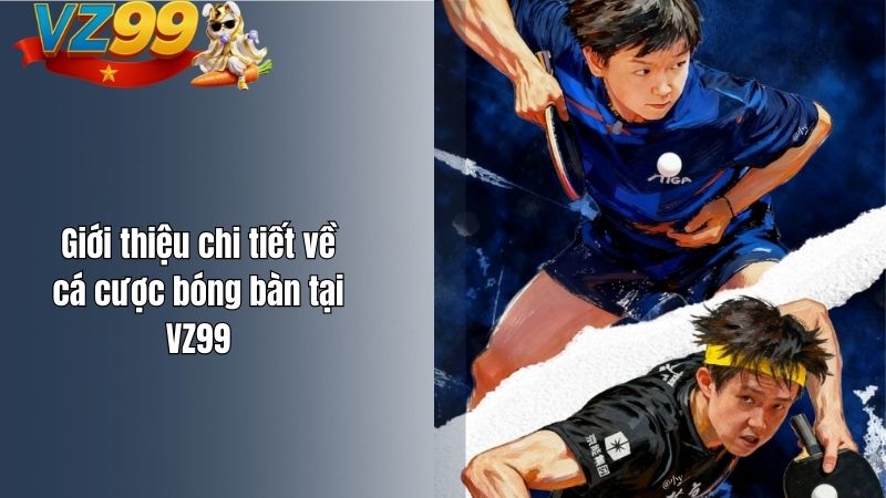 Cá cược bóng bàn VZ99 – Nơi kỹ năng, tốc độ và chiến thuật hội tụ Giới thiệu chi tiết về cá cược bóng bàn tại VZ99