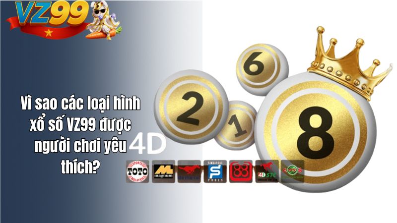Vì sao các loại hình xổ số VZ99 được người chơi yêu thích?